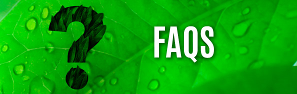 FAQS FAQS