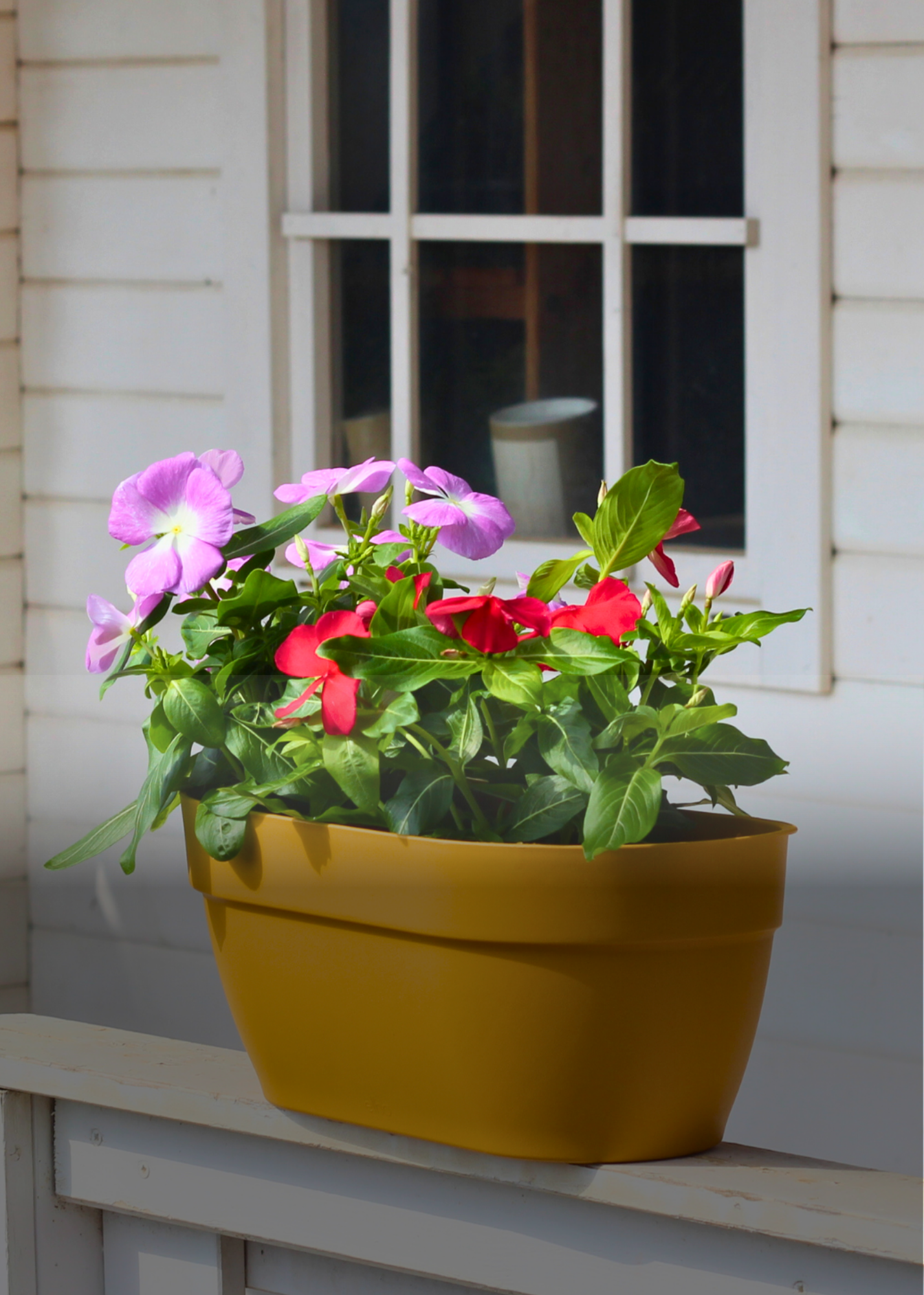 Accessoris per a plantes Accessoris per a plantes